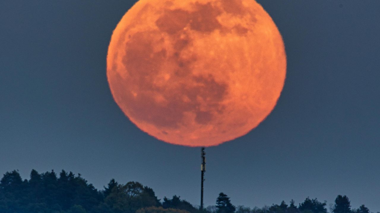 Good night, sleep deeply and peacefully - Anonymous