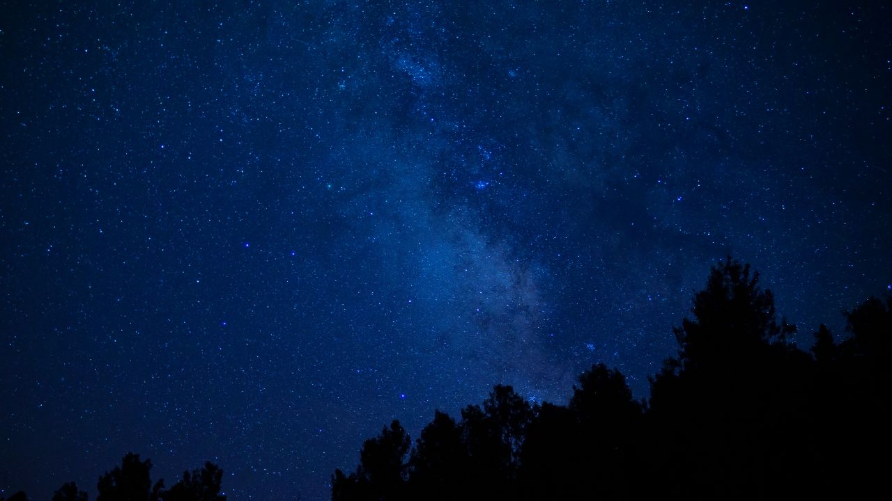 Good night, release the stress of today - Anonymous