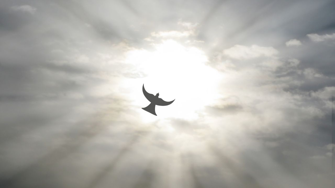 Remain in me, and I will remain in you - Jesus Christ