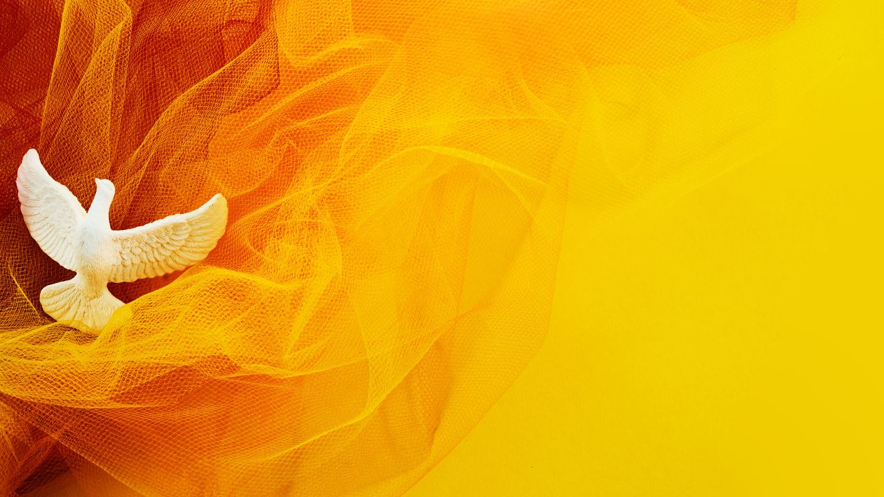 Follow me - Jesus Christ