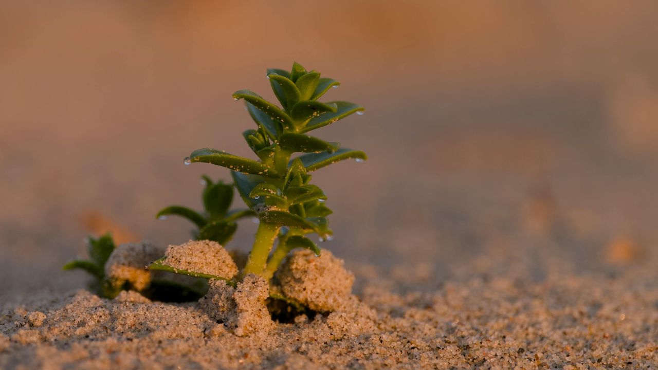 I lost myself trying to keep you - Unknown