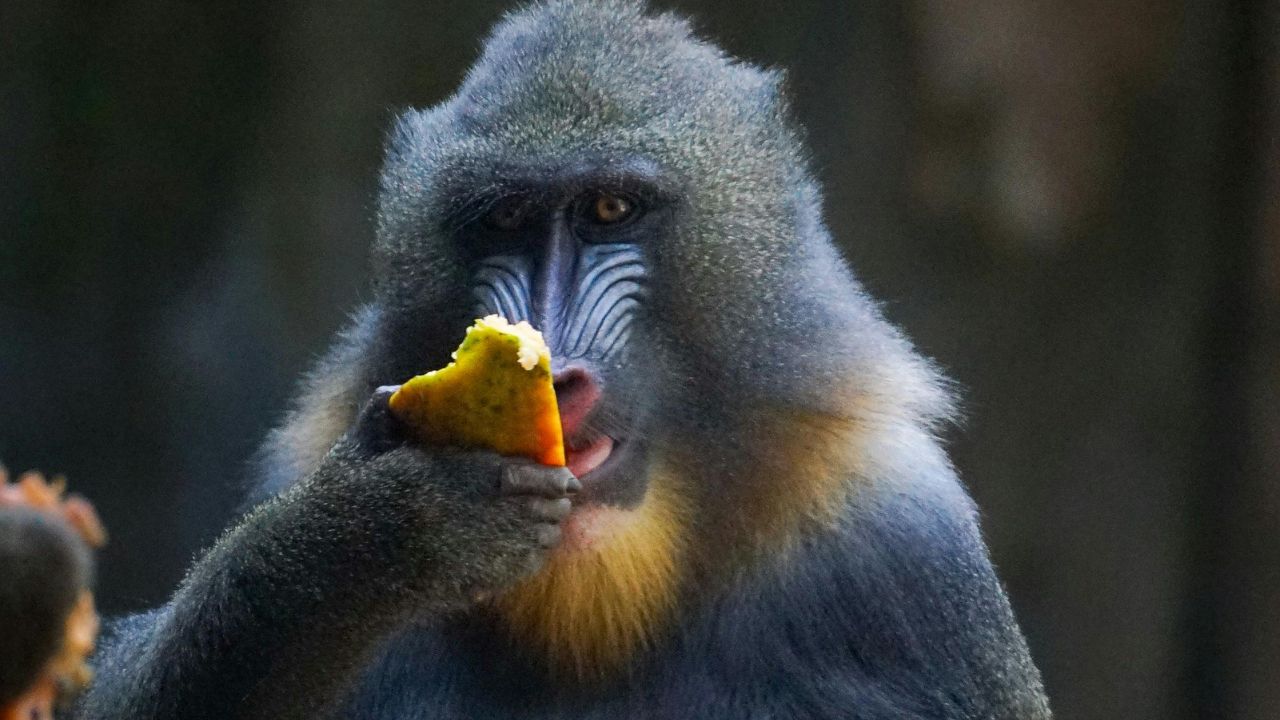 The more I read, the more I acquire, the more certain I am that I know nothing - Voltaire