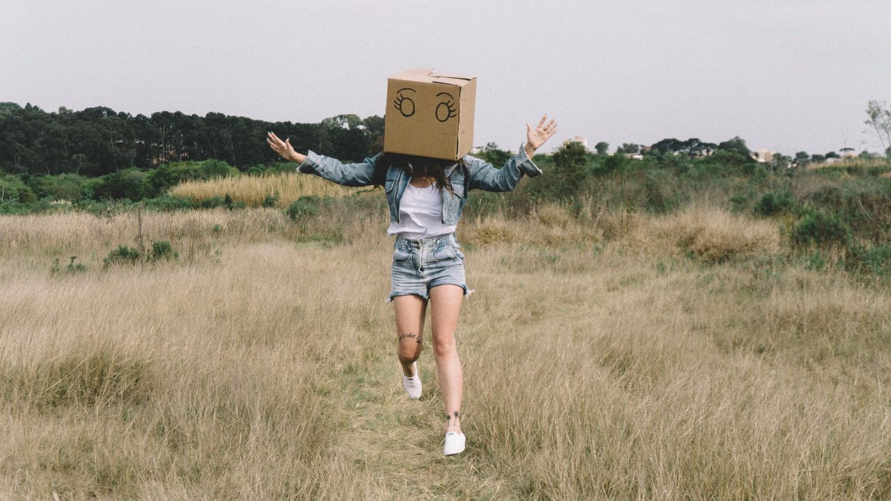 I’m not a morning person or a night owl, I’m some form of permanently exhausted pigeon - Anonymous