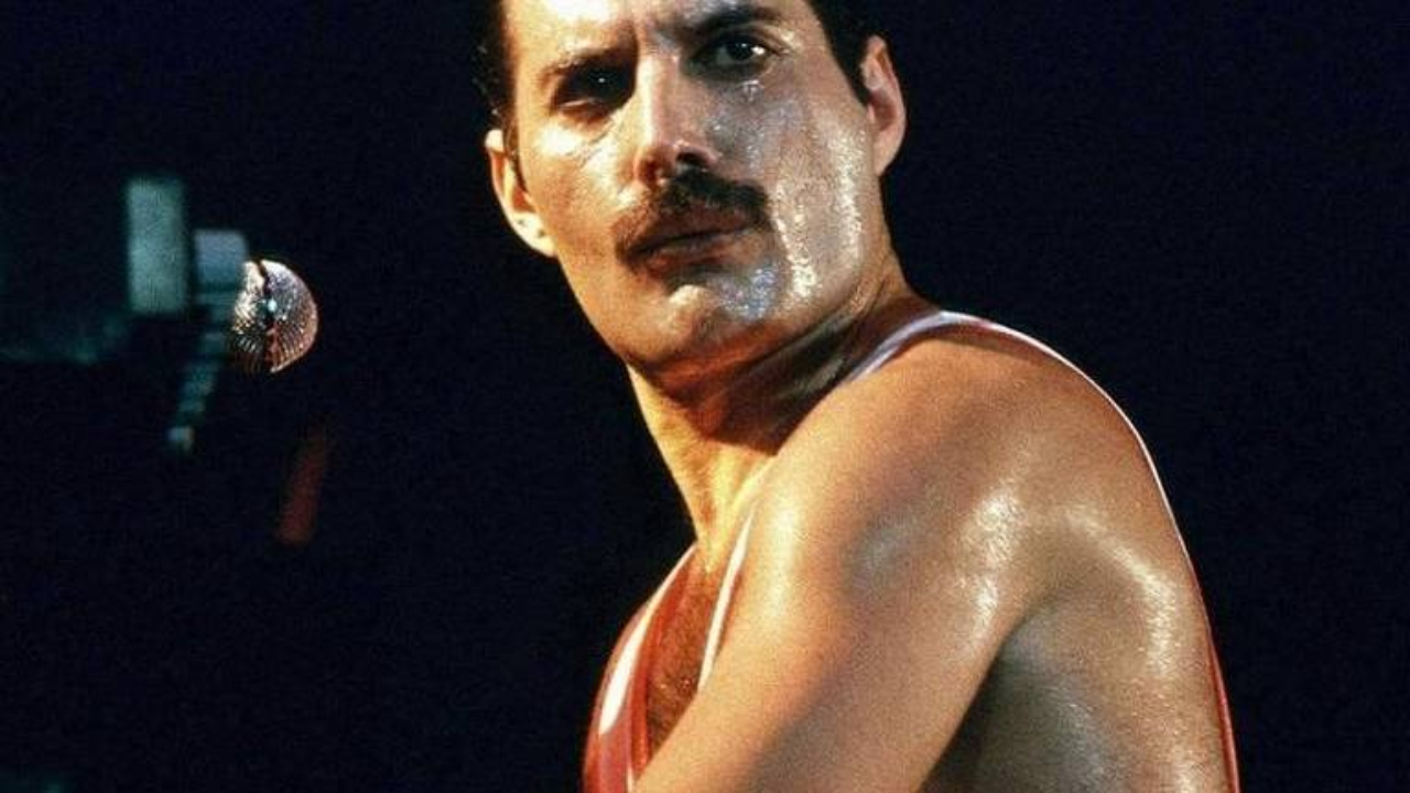 I’m just a musical prostitute, my dear. - Freddie Mercury