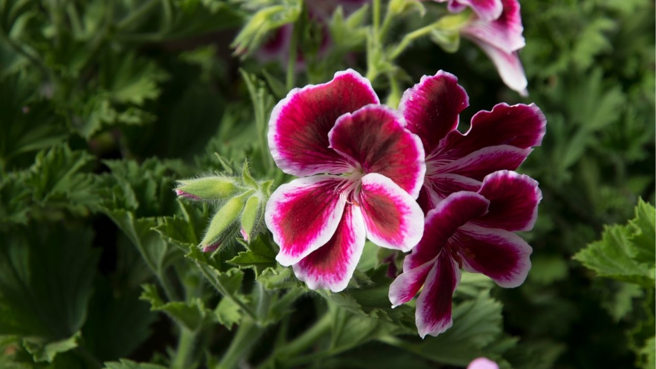 A good name is more desirable than great riches. - Bible