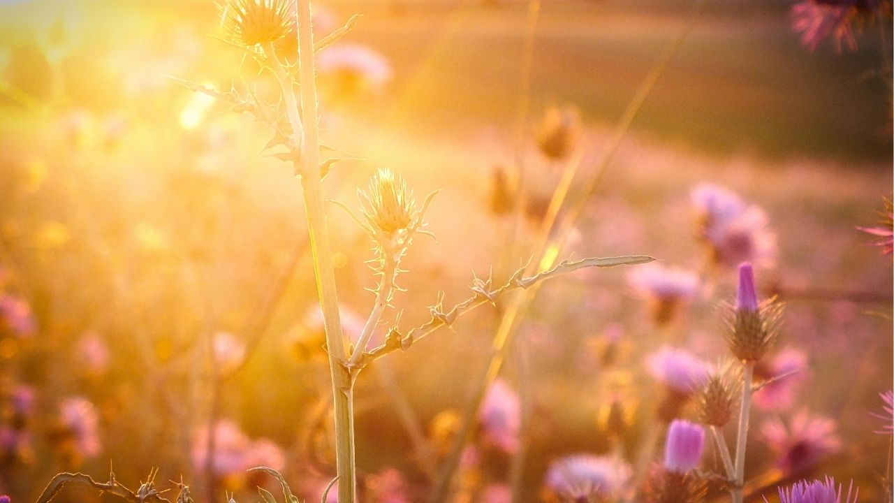 The blessing of the Lord brings wealth. - Bible