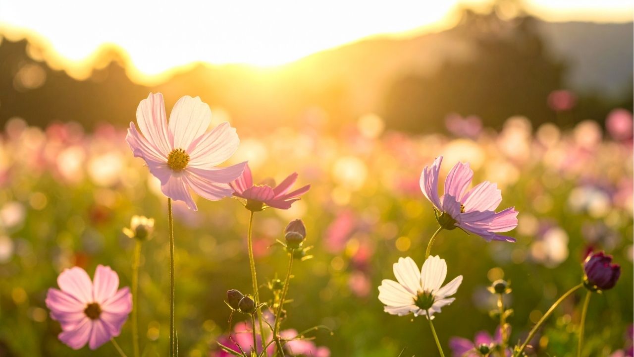 Fools find no pleasure in understanding. - Bible