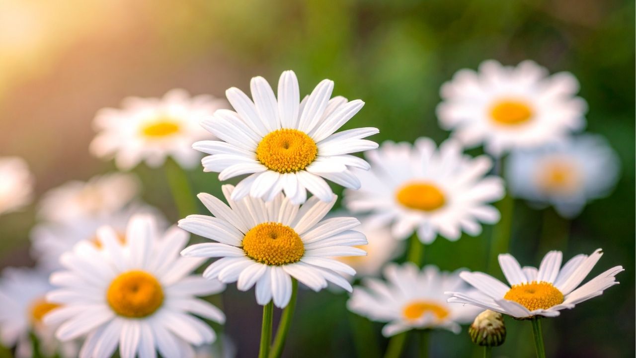 Iron sharpens iron, so one person sharpens another. - Bible