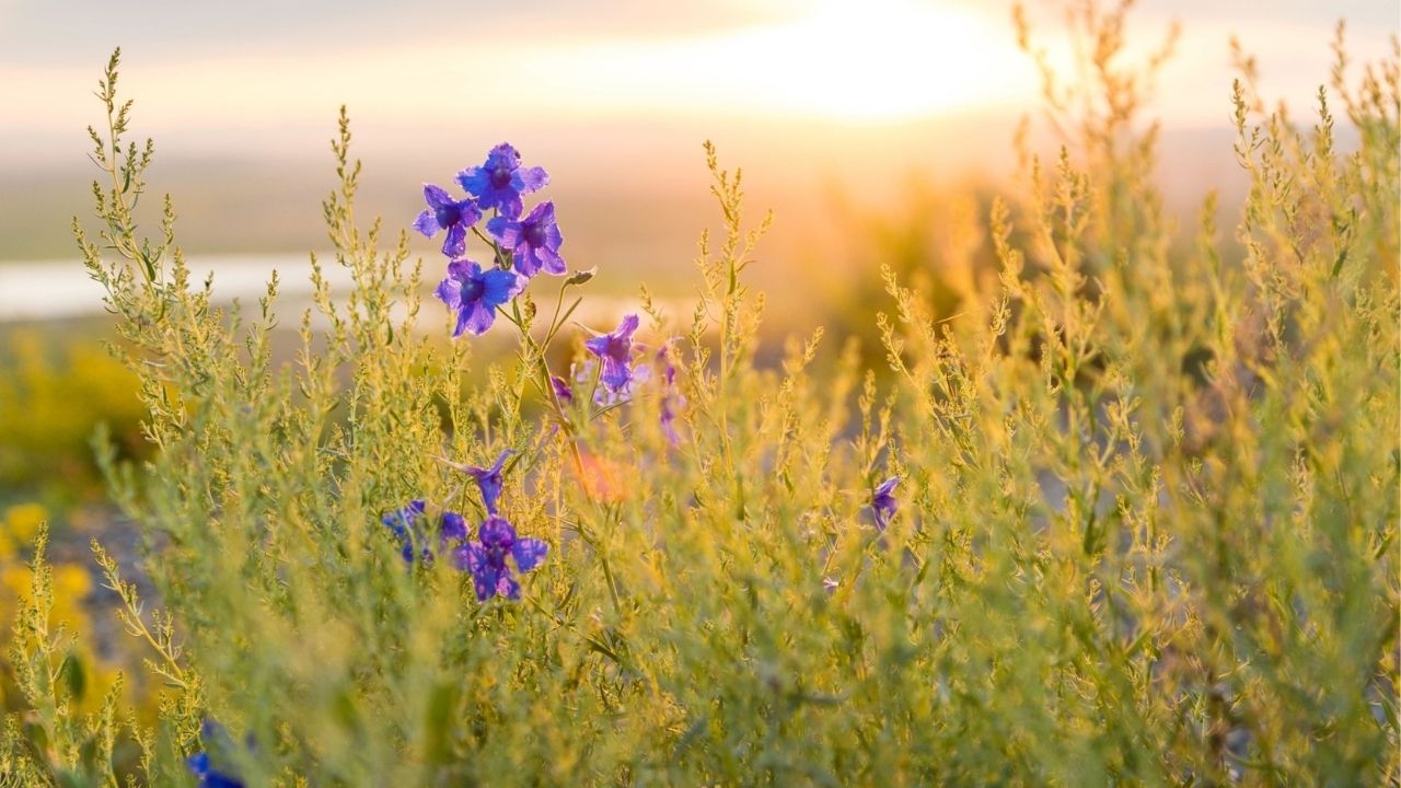 A gentle answer turns away wrath, but a harsh word stirs up anger. - Bible