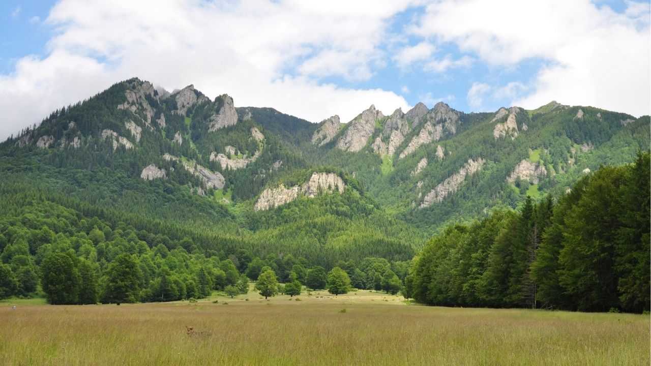 Better a patient person than a warrior. - Bible