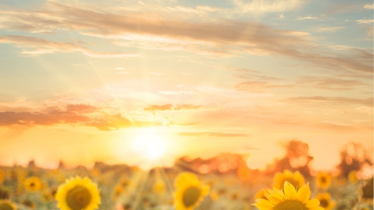 Better to be lowly in spirit along with the oppressed. - Bible