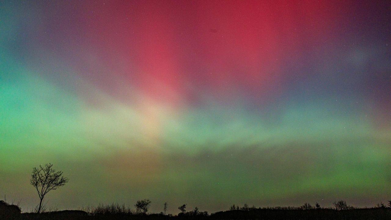 Blessed are those who mourn, for they shall be comforted. - Matthew 5:4