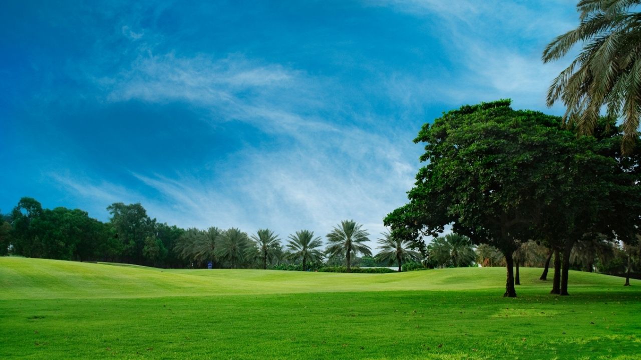 I am the good shepherd. - John 10:11