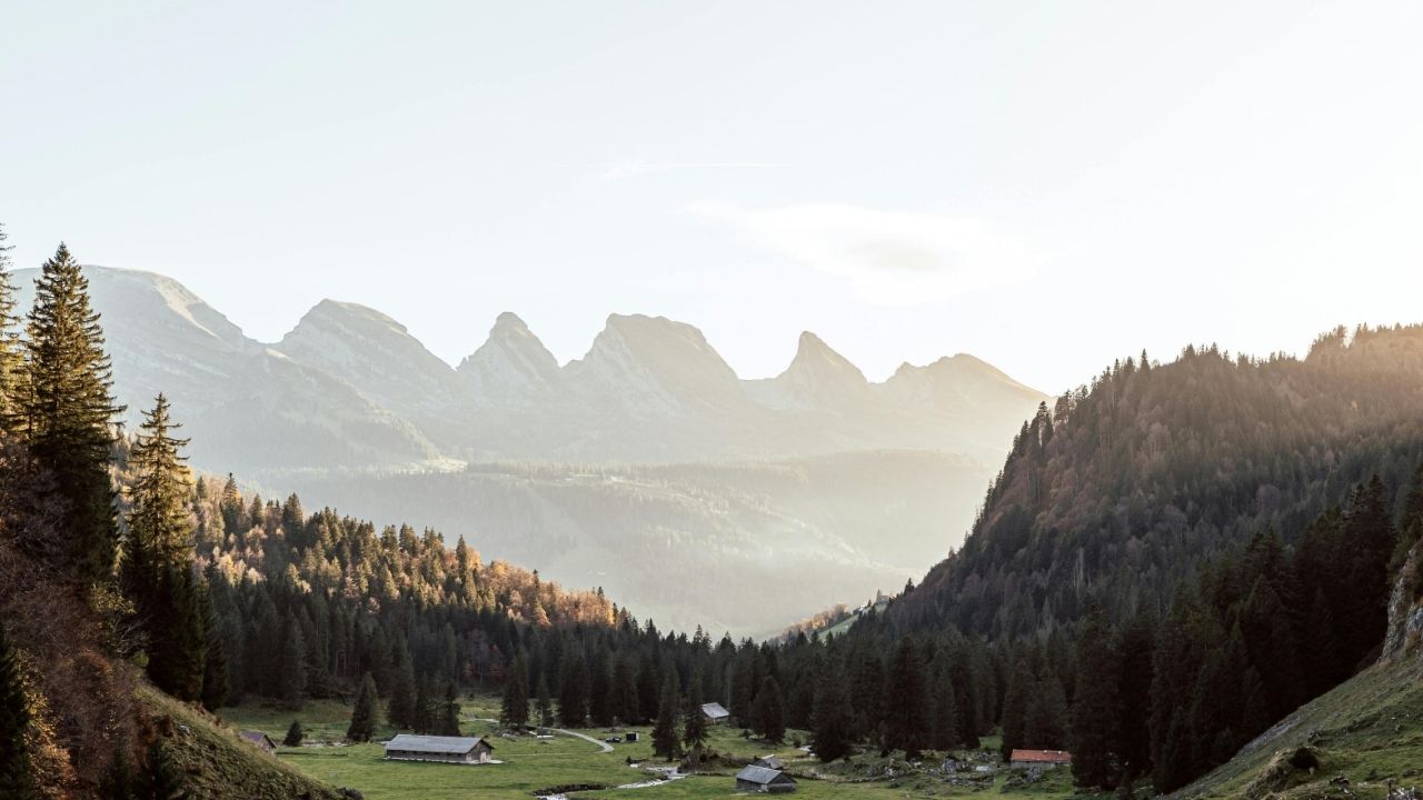 Come to me, all who labor and are heavy laden. - Matthew 11:28