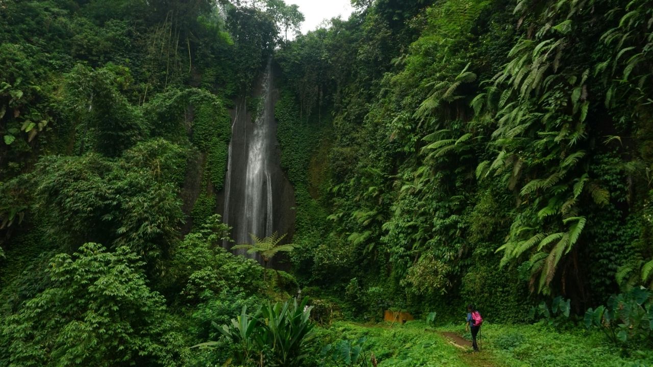 Whoever wants to become great among you must be your servant. - Matthew 20:26