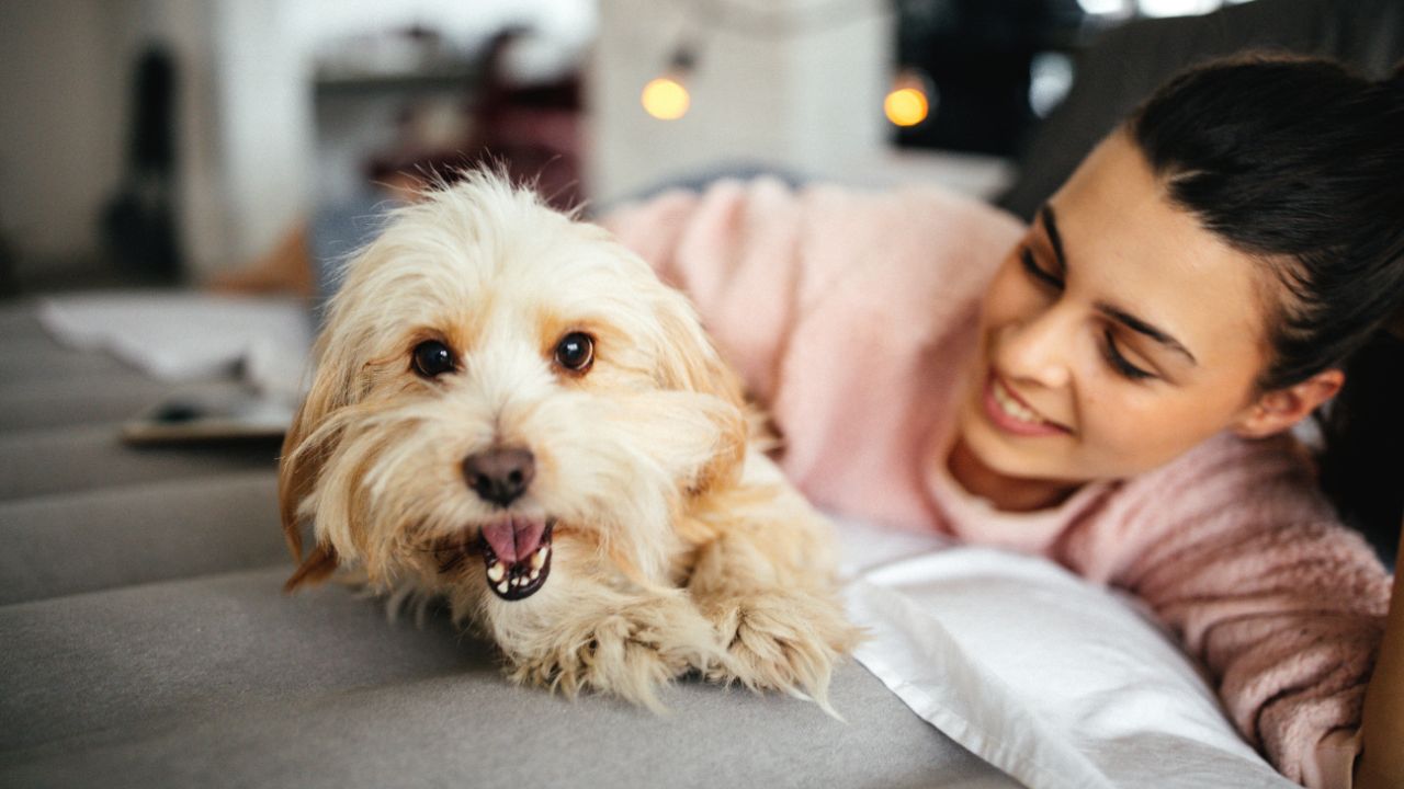 What Your Favorite Dog Reveals About Your True Personality