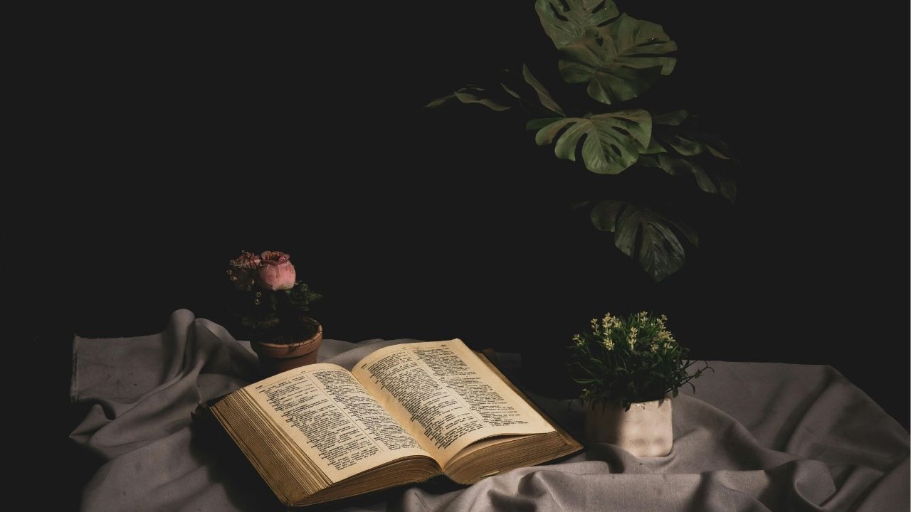 Life is not about having everything, but appreciating everything you have. - Unknown