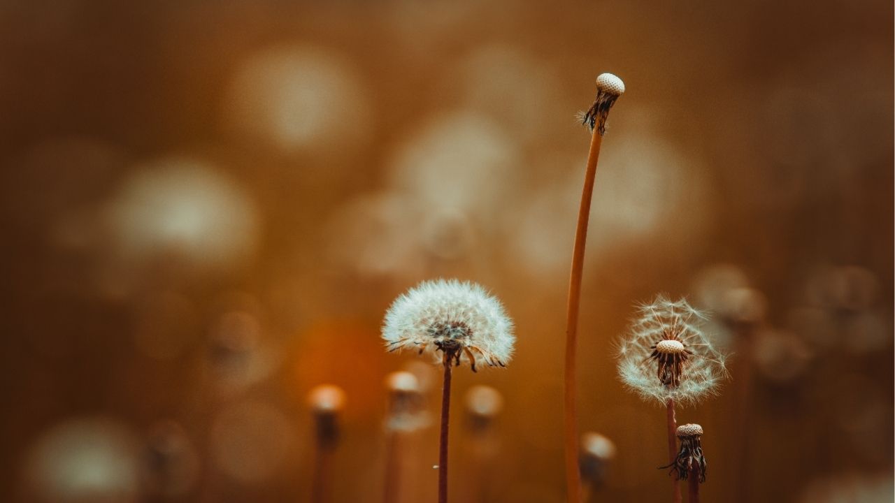 Life is made of ever so many partings welded together. - Charles Dickens