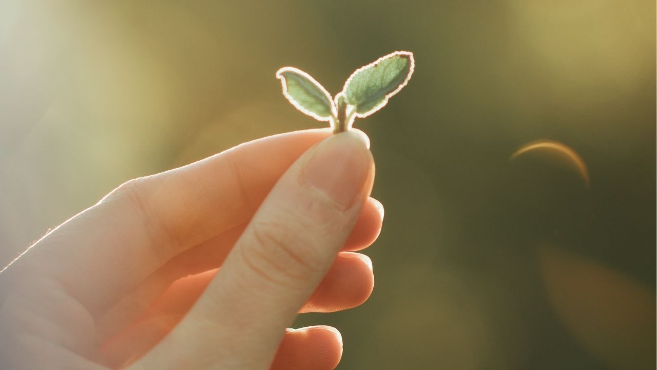 The only way to live is by accepting each minute as an unrepeatable miracle. - Tara Brach