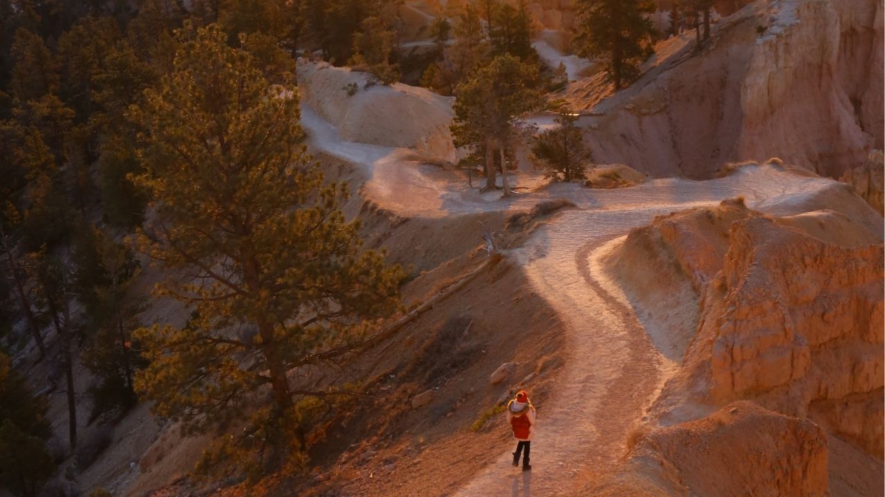 Everything you need is already within you. - Unknown