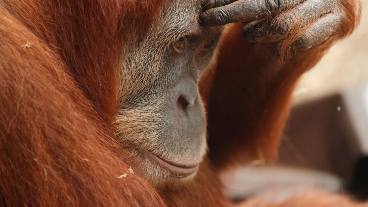 The unexamined life is not worth living. - Socrates