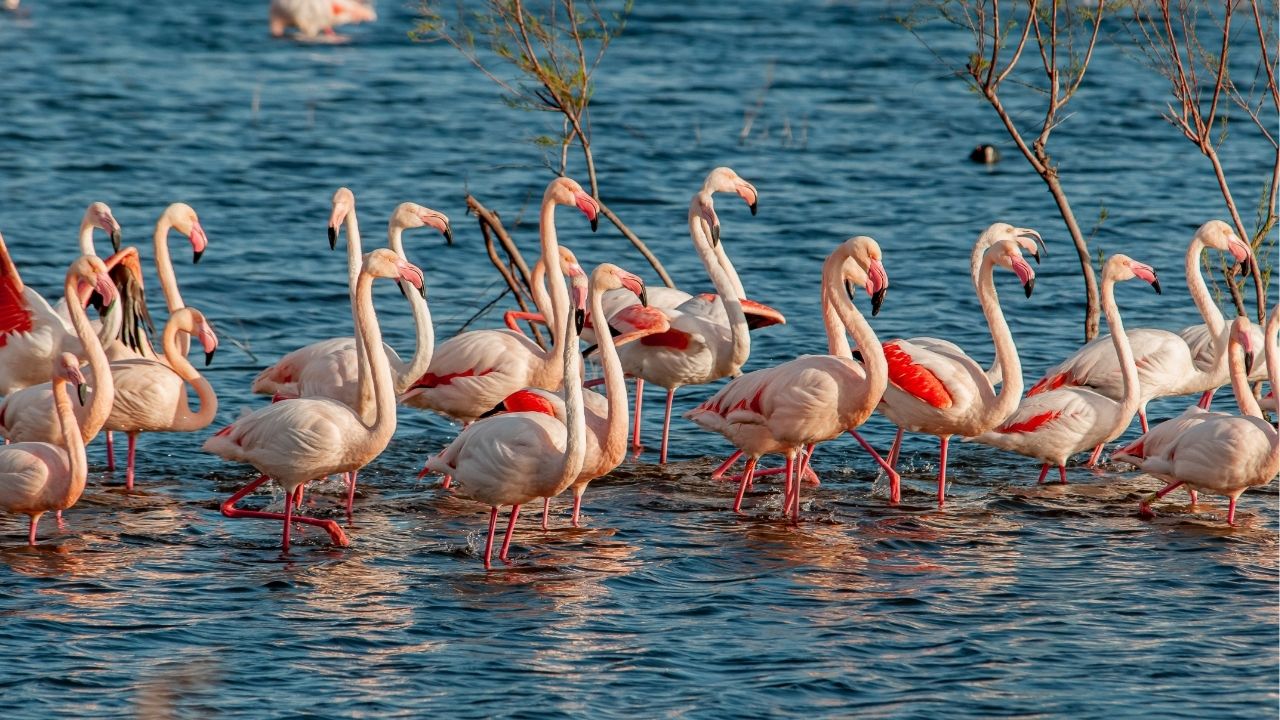 Life is about progress, not perfection. - Unknown