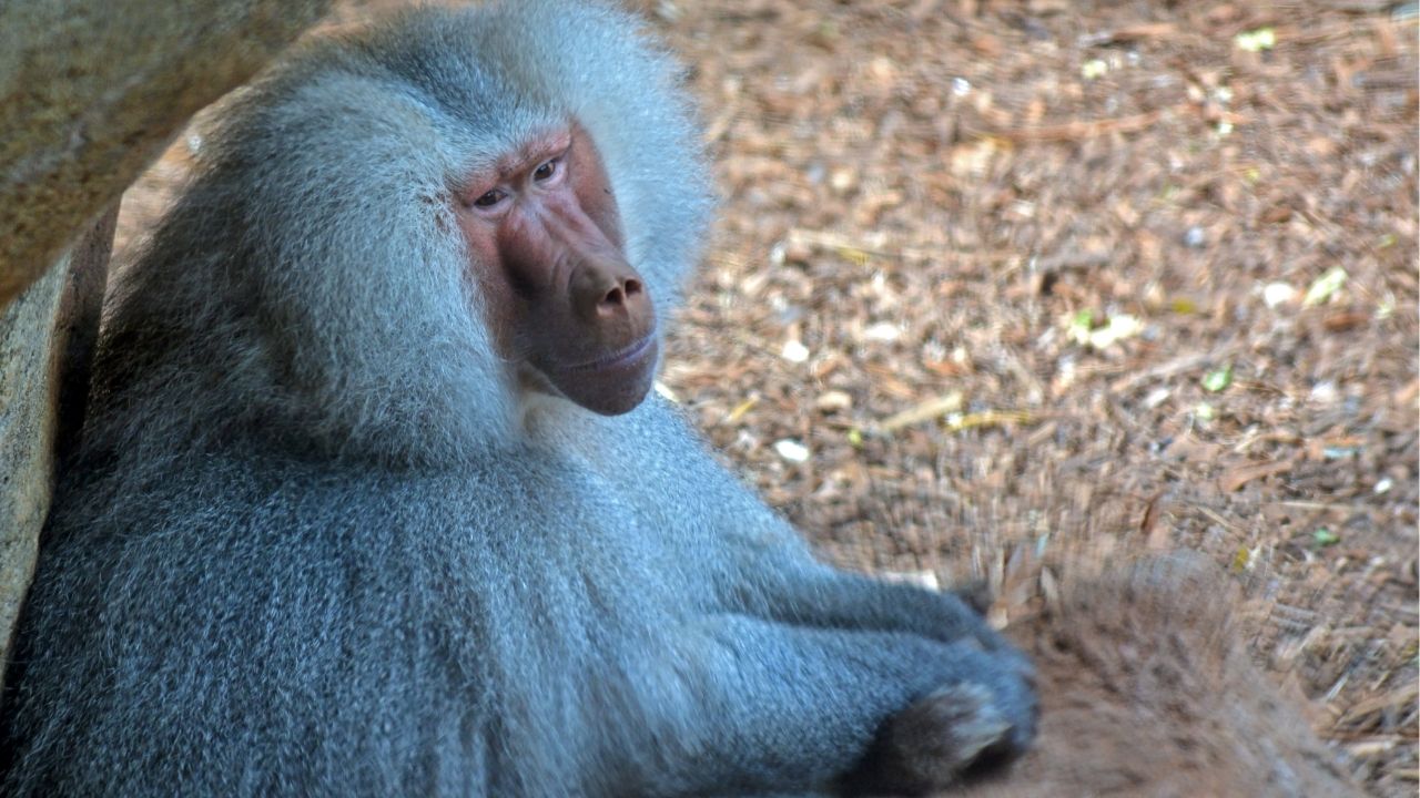 Life is full of possibilities, embrace them all. - Unknown