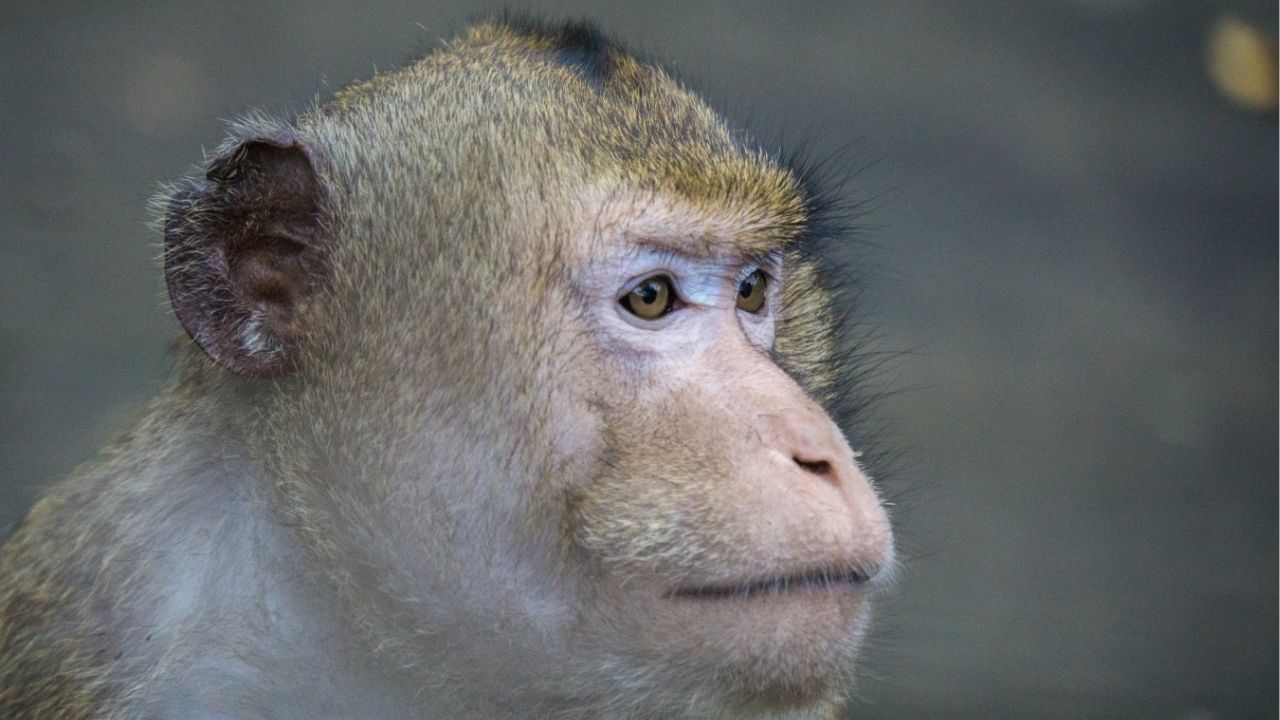 Life rewards those who work hard and stay humble. - Unknown