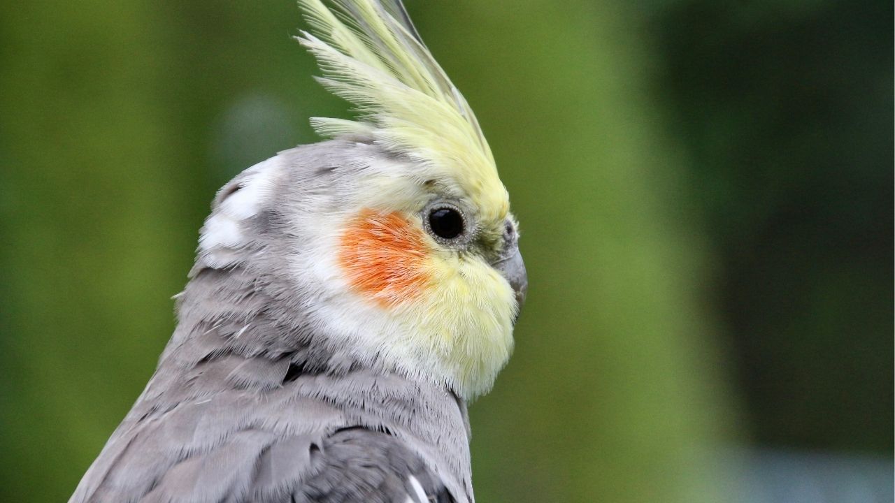 Life is about moments: don’t wait for them, create them. - Unknown