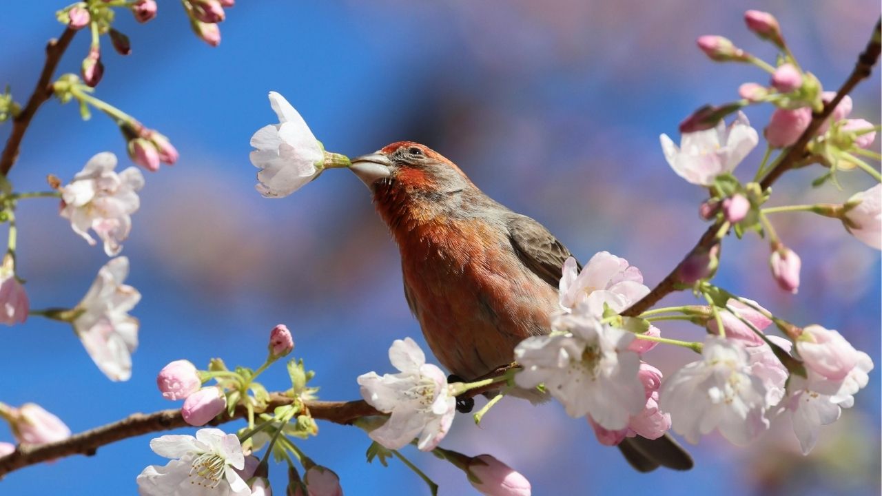 Small steps today lead to big results tomorrow. - Unknown
