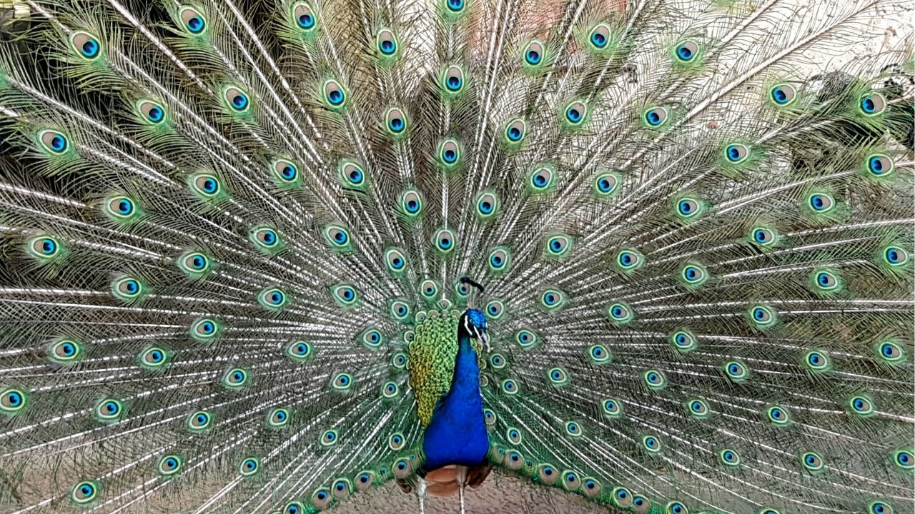 Life is not about how fast you run or how high you climb, but how well you bounce. - Vivian Komori