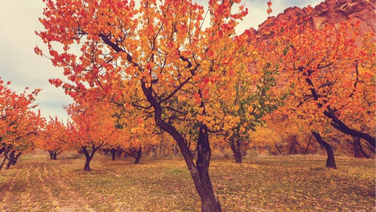 The present moment is all you truly have. - Unknown