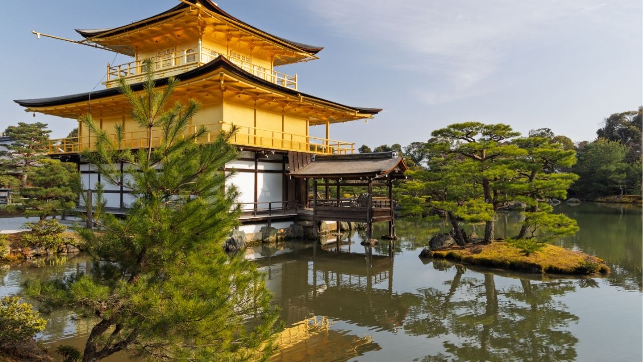 Keep going. Everything you need will come to you at the perfect time. - Unknown