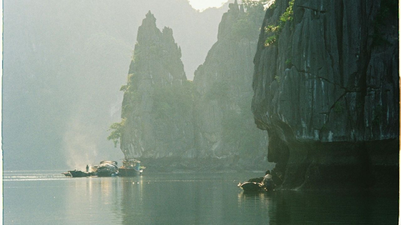 Your time is limited, so don’t waste it living someone else’s life. - Steve Jobs