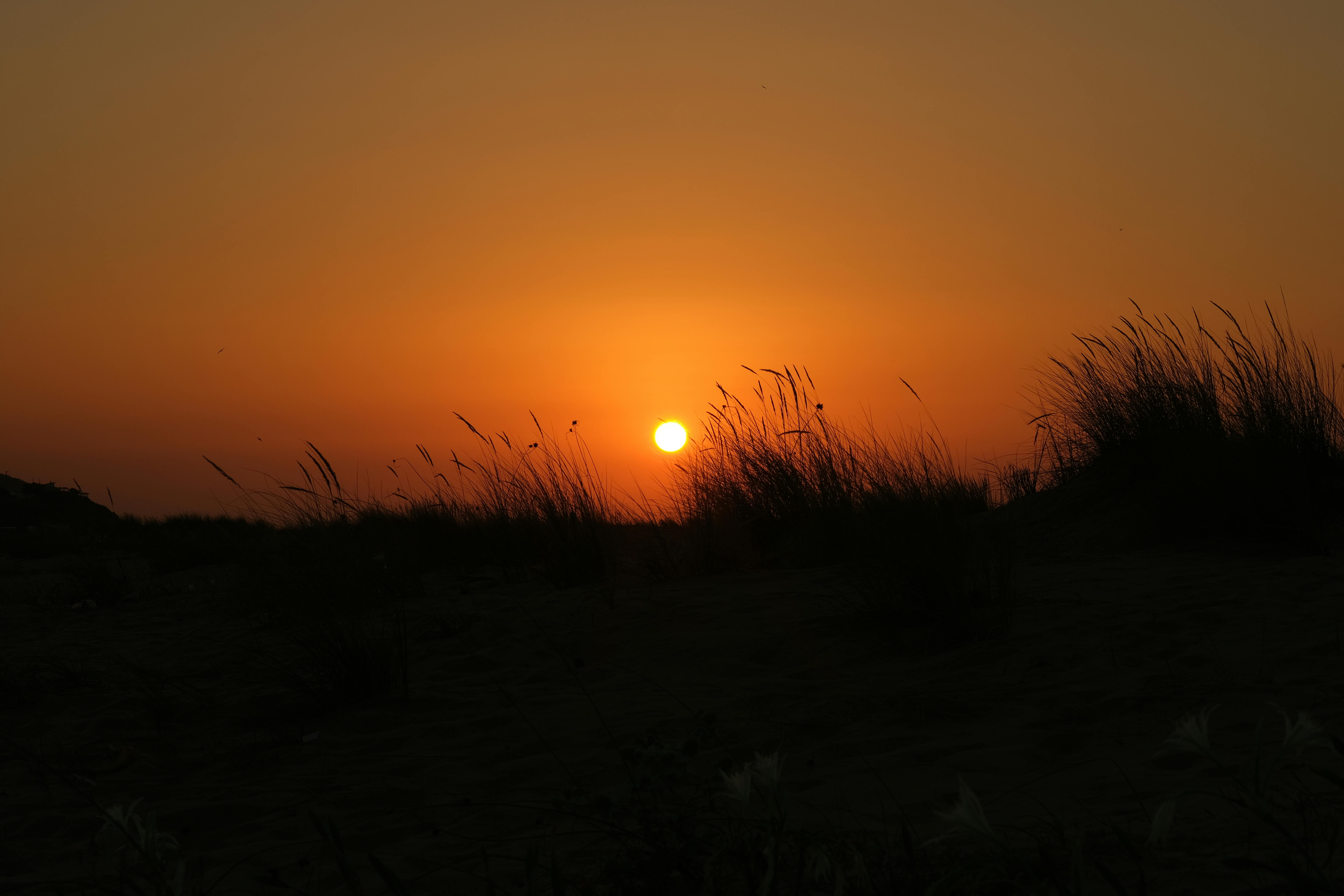 Life is either a daring adventure or nothing at all - Helen Keller