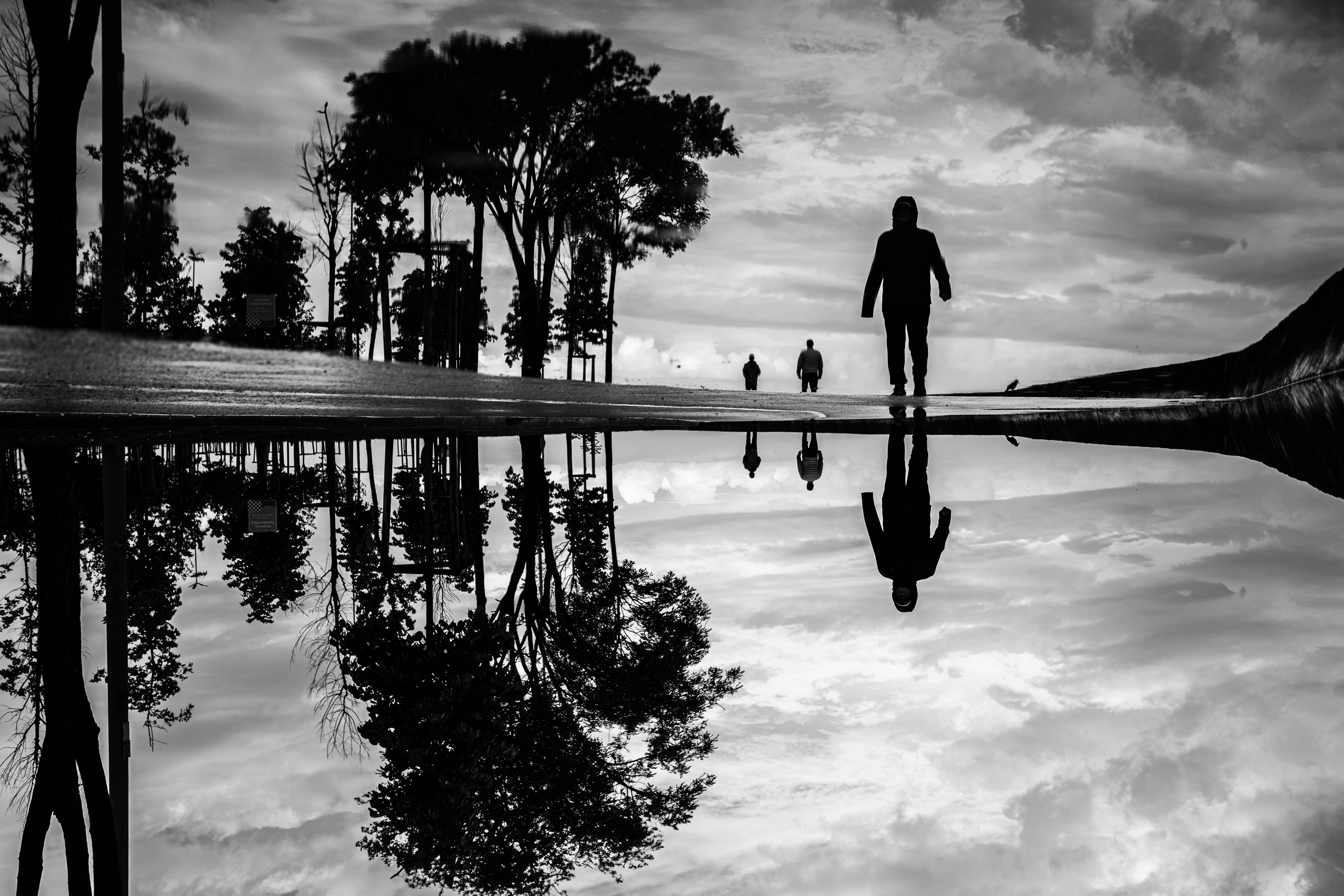 A quiet mind is the loudest source of clarity - Naval Ravikant